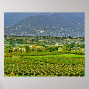 Italië, Lake Garda. De oevers van het Gardameer zi Poster