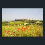 Italië, Monteriggioni, Uitzicht van het Gebied Foto Afdruk<br><div class="desc">Italië, Monteriggioni, Field Uitzicht of Monteriggioni met Spring Poppies en Vineyards � Terry Eggers / DanitaDelimont.com</div>