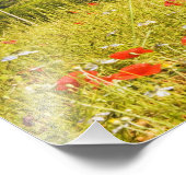 Italië, Monteriggioni, Uitzicht van het Gebied Foto Afdruk (Hoek)