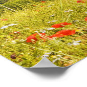 Italië, Monteriggioni, Uitzicht van het Gebied Poster (Hoek)