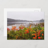 Italië Park | Minnesota Briefkaart (Voorkant / Achterkant)