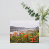 Italië Park | Minnesota Briefkaart (Staand voorkant)