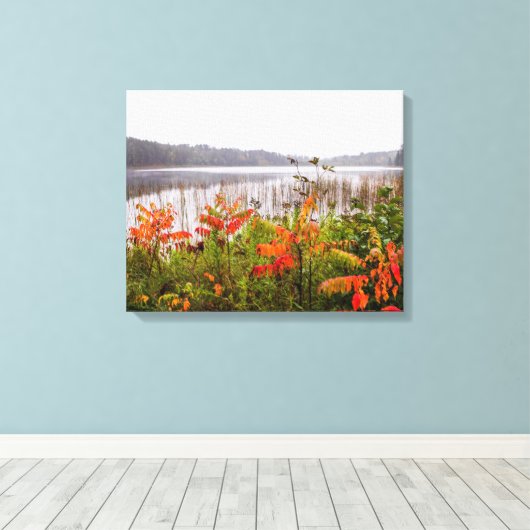 Italië Park | Minnesota Canvas Afdruk (Insitu (Houten vloer))