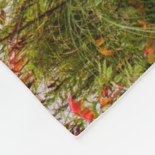 Italië Park | Minnesota Fleece Deken (Hoek)