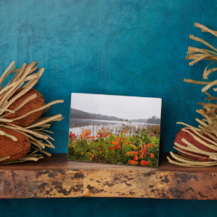 Italië Park   Minnesota Fotoplaat