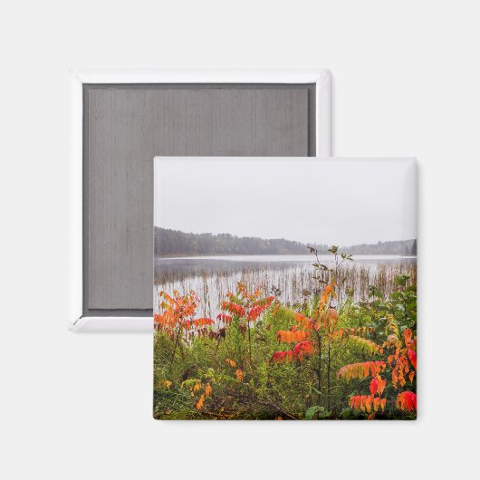 Italië Park | Minnesota Magneet (Voorkant / Achterkant)