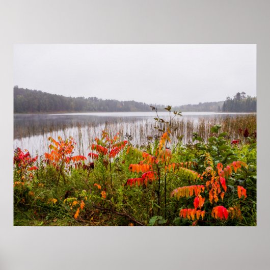 Italië Park | Minnesota Poster (Voorkant)