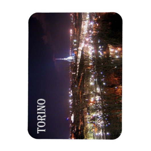 Italië - Piemonte - Turijn - Magneet (Verticaal)