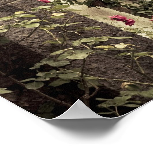 Italië, provincie Brescia, Gardone Riviera. Tuin Poster (Hoek)