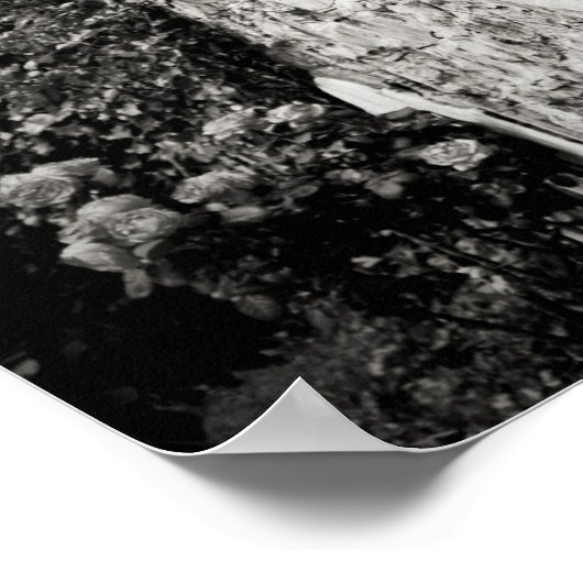 Italië, provincie Lecco, Varenna. Villa Monastero, Poster (Hoek)