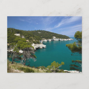 Italië, Puglia, Promontorio del Gargano, Testa Briefkaart