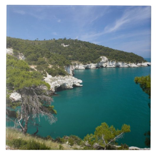 Italië, Puglia, Promontorio del Gargano, Testa Tegeltje (Voorkant)