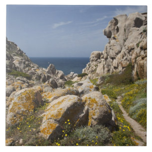 Italië, Sardinië, Santa Teresa Gallura. Capo 2 Tegeltje