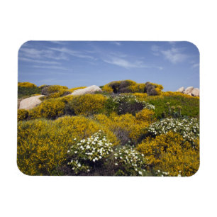 Italië, Sardinië, Santa Teresa Gallura. Capo 3 Magneet