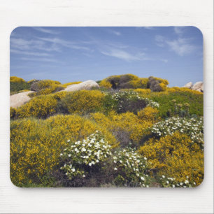 Italië, Sardinië, Santa Teresa Gallura. Capo 3 Muismat