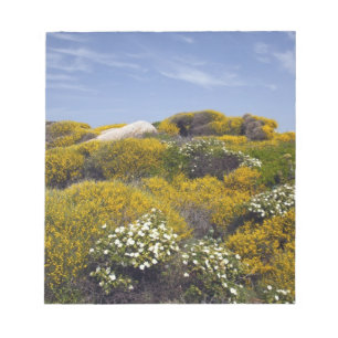 Italië, Sardinië, Santa Teresa Gallura. Capo 3 Notitieblok