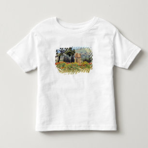 Italië, Sicilië, Agrigento. De ruïnes van de Kinder Shirts