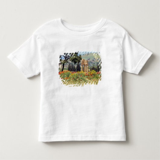 Italië, Sicilië, Agrigento. De ruïnes van de Kinder Shirts (Voorkant)