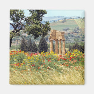 Italië, Sicilië, Agrigento. De ruïnes van de Magneet