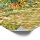 Italië, Sicilië, Agrigento. De ruïnes van de Poster (Hoek)