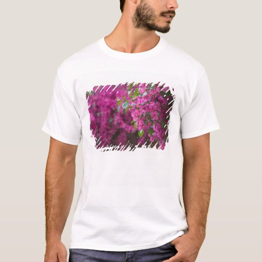 Italië, Sicilië, Cefalu, Flowered Courtyard door T-shirt (Voorkant)