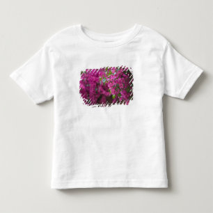 Italië, Sicilië, Cefalu, Gebloemde binnenplaats do Kinder Shirts