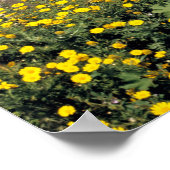 Italië, Sicilië. De noordkust van Sicilië in Poster (Hoek)