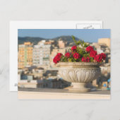 Italië, Sicilië, Termini Imerese, Uitzicht en bloe Briefkaart (Voorkant / Achterkant)