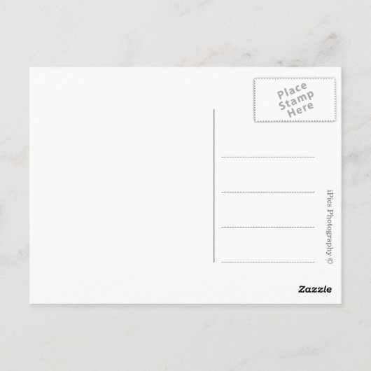 Italië souvenir foto collage briefkaart (Achterkant)