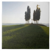 Italië, Toscane, Cypress Trees in Toscane met Tegeltje (Voorkant)