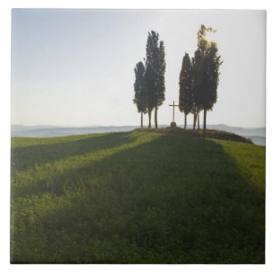 Italië, Toscane, Cypress Trees in Toscane met Tegeltje
