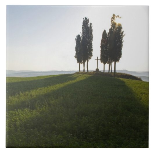 Italië, Toscane, Cypress Trees in Toscane met Tegeltje (Voorkant)