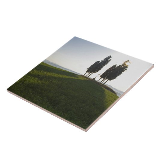 Italië, Toscane, Cypress Trees in Toscane met Tegeltje (Zijkant)