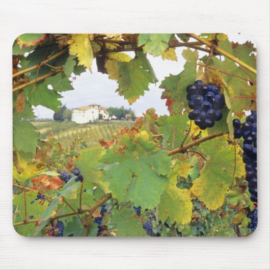 Italië, Toscane Farmhouse bekeken door Muismat (Voorkant)