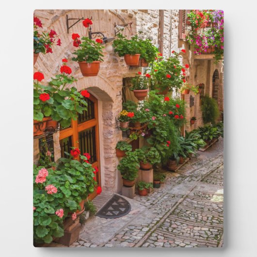 Italië, Toscane Fotoplaat (Voorkant)