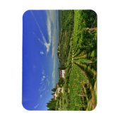 Italië, Toscane, Greve. De wijngaarden van Castell Magneet (Verticaal)