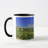 Italië, Toscane, Greve. De wijngaarden van Castell