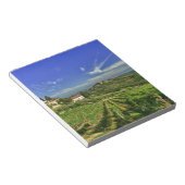 Italië, Toscane, Greve. De wijngaarden van Castell Notitieblok (Schuin)