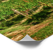 Italië, Toscane, Greve. De wijngaarden van Castell Poster (Hoek)