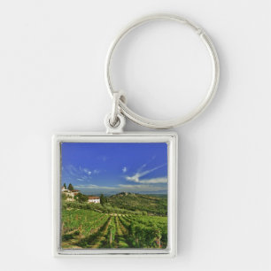 Italië, Toscane, Greve. De wijngaarden van Castell Sleutelhanger