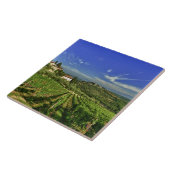 Italië, Toscane, Greve. De wijngaarden van Castell Tegeltje (Zijkant)