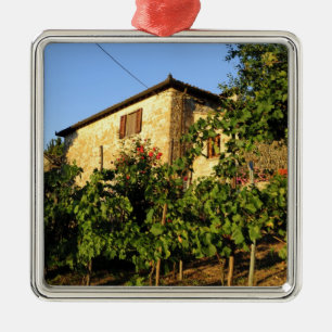 Italië, Toscane, Greve. Laat zomerse wijnscènes Metalen Ornament
