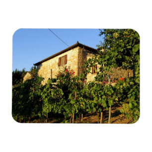 Italië, Toscane, Greve. Late zomerwijkscènes Magneet