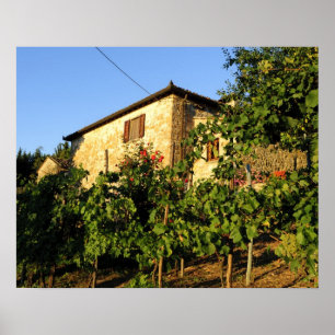 Italië, Toscane, Greve. Late zomerwijkscènes Poster