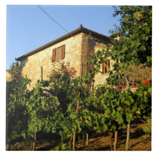 Italië, Toscane, Greve. Late zomerwijkscènes Tegeltje