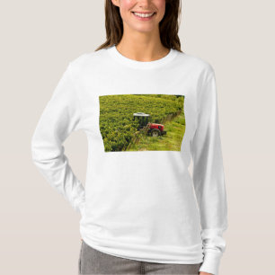 Italië, Toscane, Greve. Plukkers aan het werk tijd T-shirt