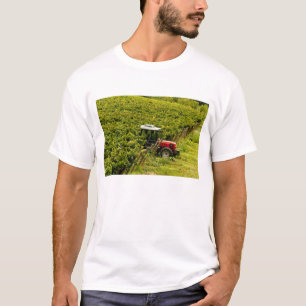 Italië, Toscane, Greve. Plukkers aan het werk tijd T-shirt