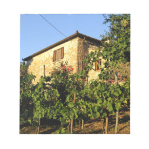 Italië, Toscane, Greve. Wijnscènes in de late zome Notitieblok