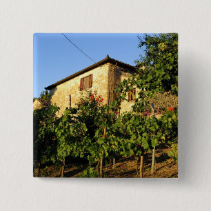 Italië, Toscane, Greve. Wijnscènes uit Toscane in Vierkante Button 5,1 Cm