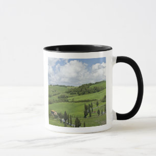 Italië, Toscane. La Foce. Een bochtige weg slinger Mok